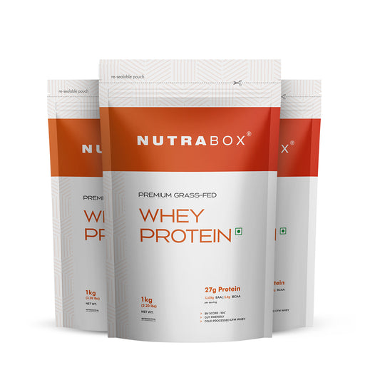 100% Whey Protein 3kg (Assorted)