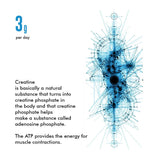 Creatine Monohydrate made with Creapure®