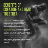 Creatine HMB