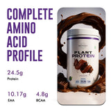 Plant Protein