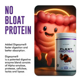 Plant Protein
