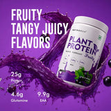Vegan Protein