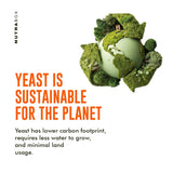 Yeast Protein