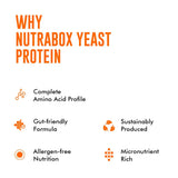 Yeast Protein
