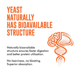 Yeast Protein
